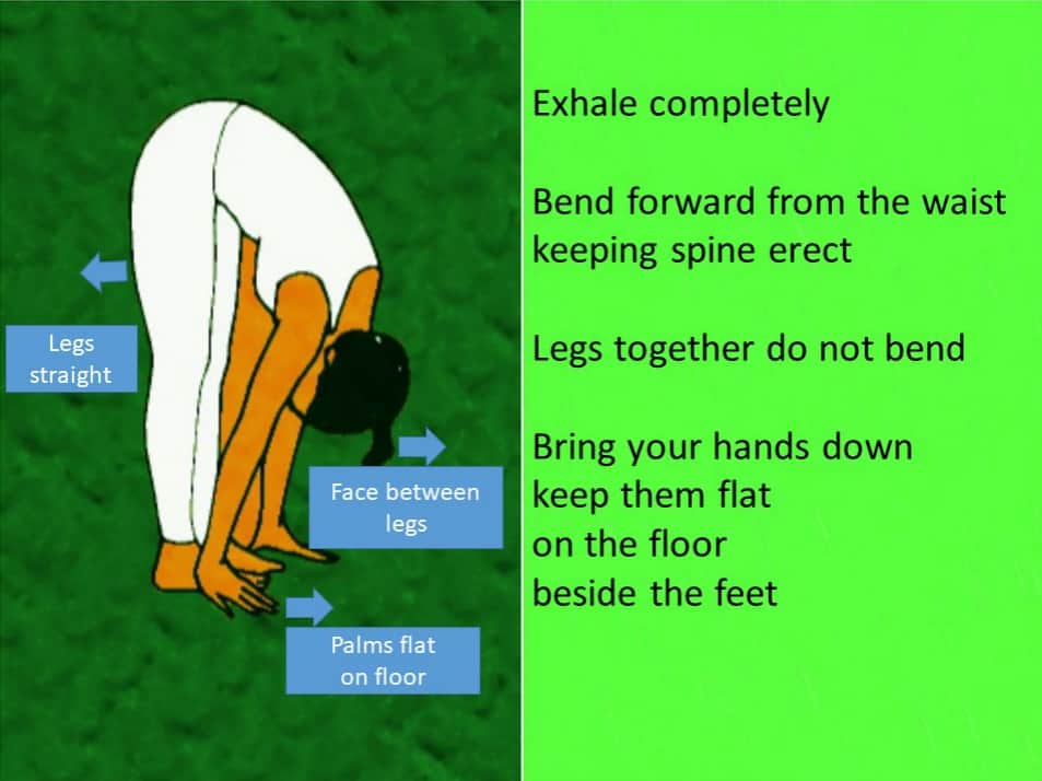Standing-Forward-Bend-Pada-Hastasana-Surya-namaskar-yoga-pose-sun -salutation-12-steps-images-video-yoga-101-108-surya-namaskar-wellnessworks