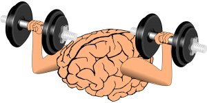 Train the brain, Yoga and Brain,Yoga improves brain function, brain function, Yoga poses, Yoga asanas, wellnessworks,wellness,Yoga