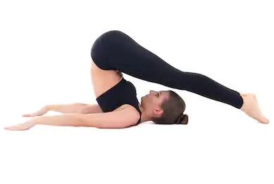 Ashtanga Yoga, Plow Pose, Plough Pose, halasana, Plow Pose in Yoga, halasana in Yoga, benefits of halasana, Plow pose benefits, Plow pose step by step guide, yoga, yoga 101, yoga poses, wellbeing