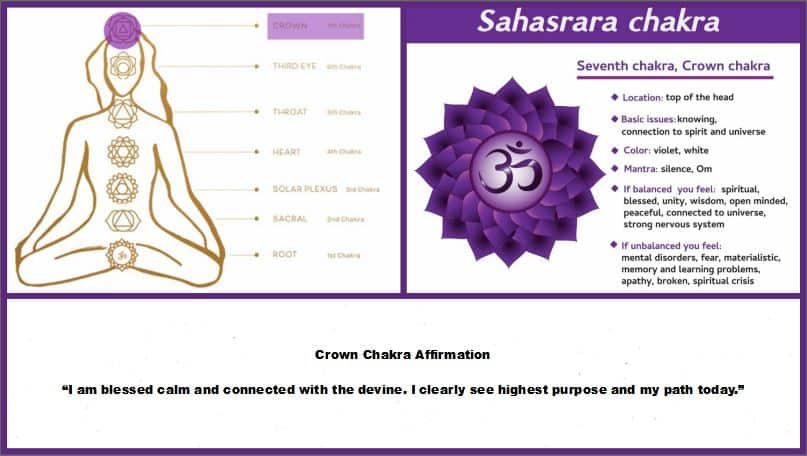 7 crown chakra sahasrara chakra wellness works