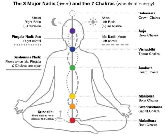 chakras nadis and flow of prana in body 